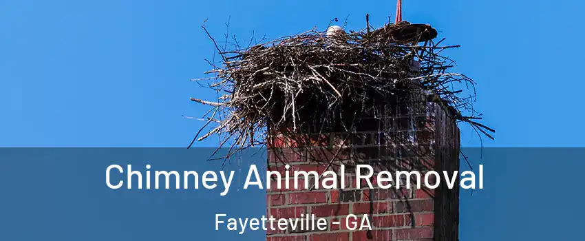 Chimney Animal Removal Fayetteville - GA