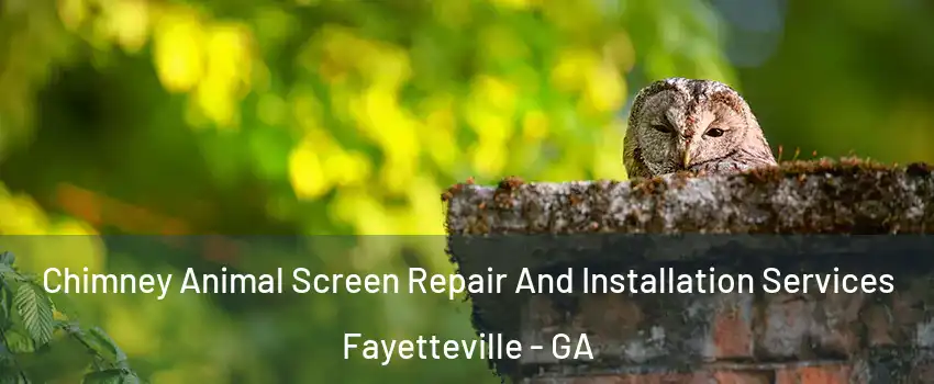 Chimney Animal Screen Repair And Installation Services Fayetteville - GA