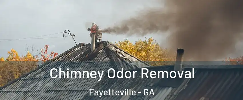 Chimney Odor Removal Fayetteville - GA