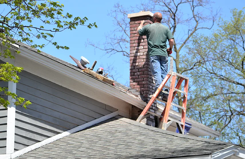 Chimney & Fireplace Inspections Services in Fayetteville, GA