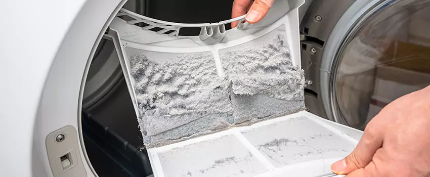 Best Dryer Lint Removal Company in Fayetteville, Georgia