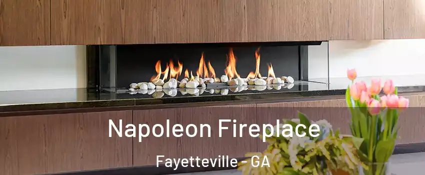  Napoleon Fireplace Fayetteville - GA